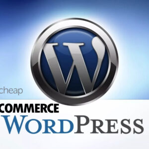 Wordpress Namecheap Domain Search Register Plugin